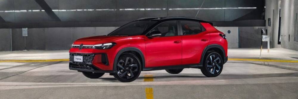 Volkswagen Tera